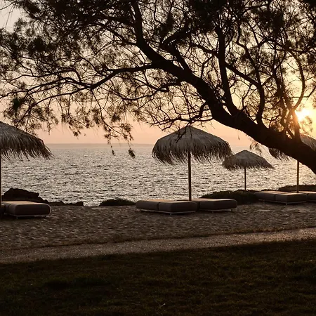 Cove Paros Hotel Naoussa