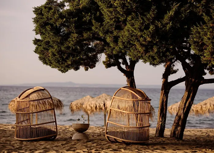 Cove Paros Hotel Naoussa